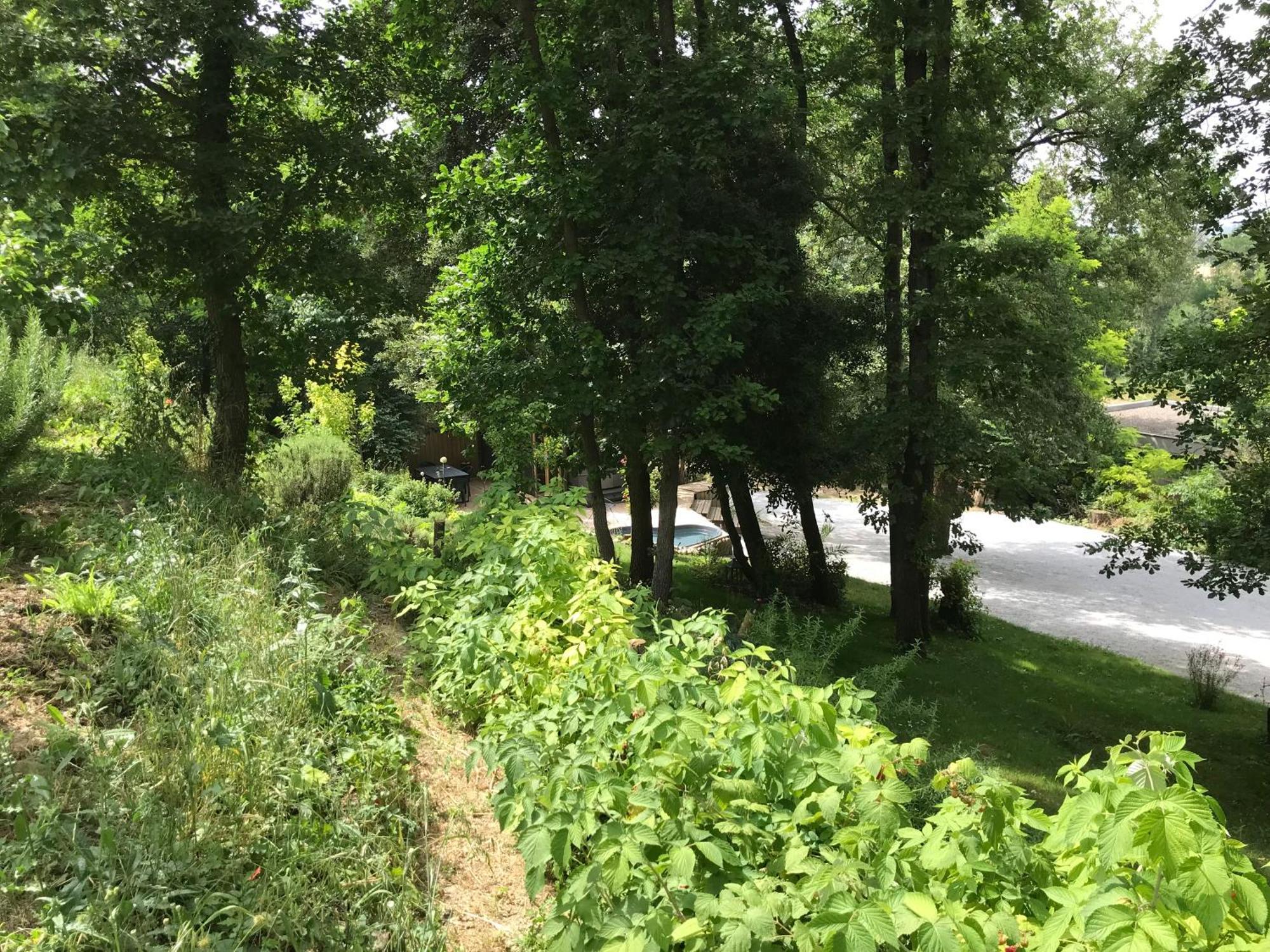 Bus Atypique Au Bord Du Canal Du Midi Et Au Coeur D'Une Foret 2 Chambres Villepinte  외부 사진