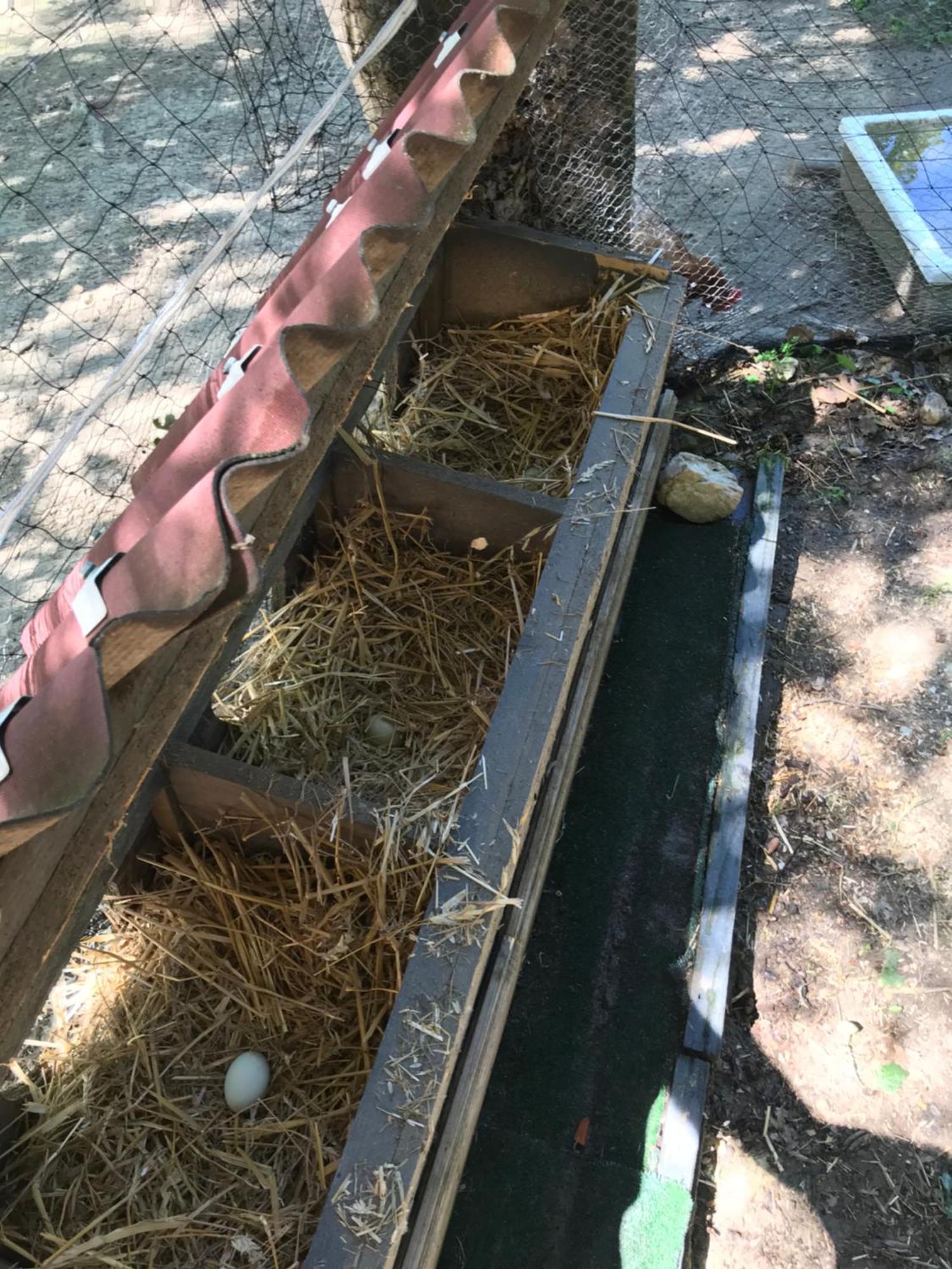Bus Atypique Au Bord Du Canal Du Midi Et Au Coeur D'Une Foret 2 Chambres Villepinte  외부 사진