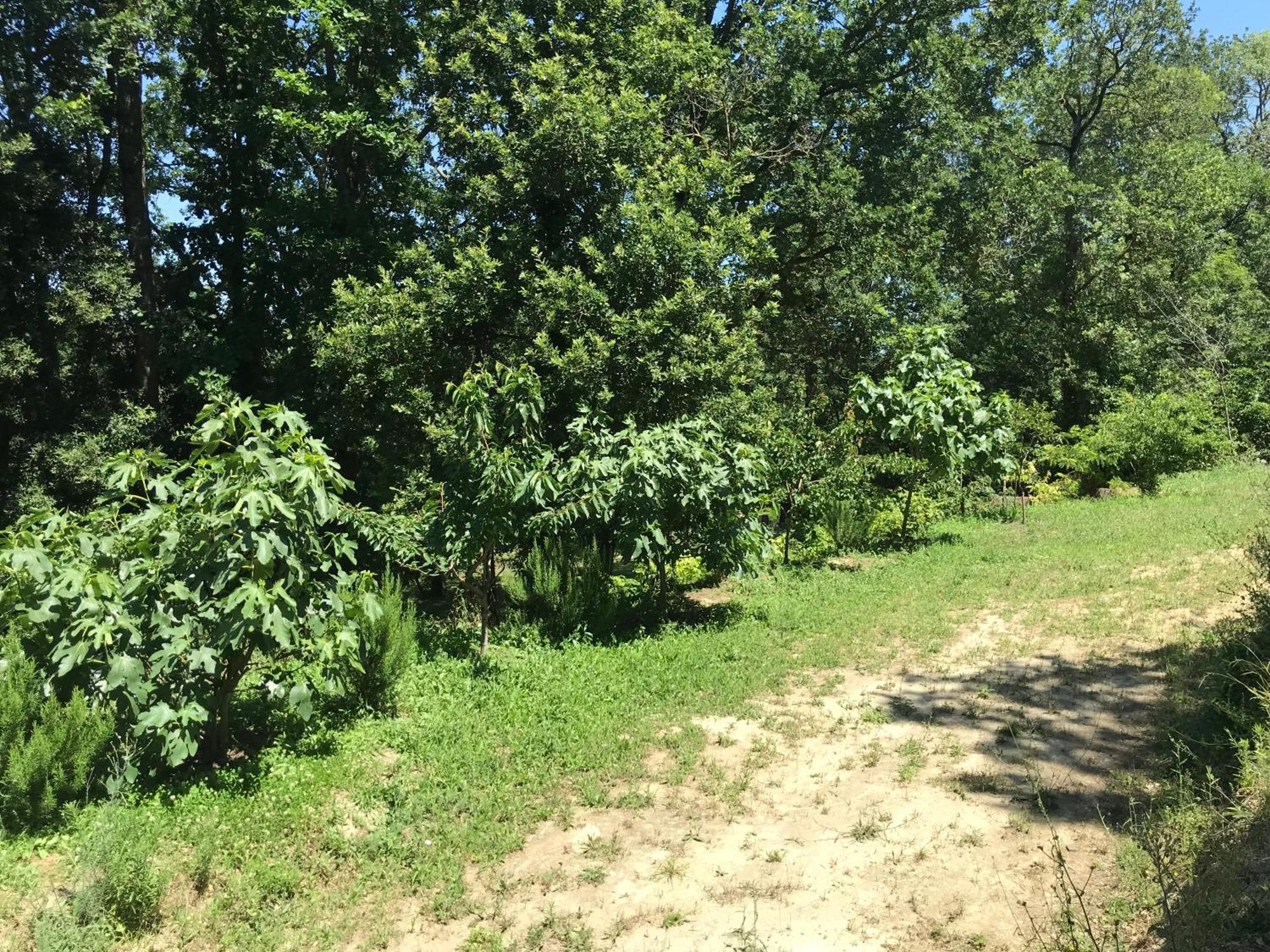 Bus Atypique Au Bord Du Canal Du Midi Et Au Coeur D'Une Foret 2 Chambres Villepinte  외부 사진
