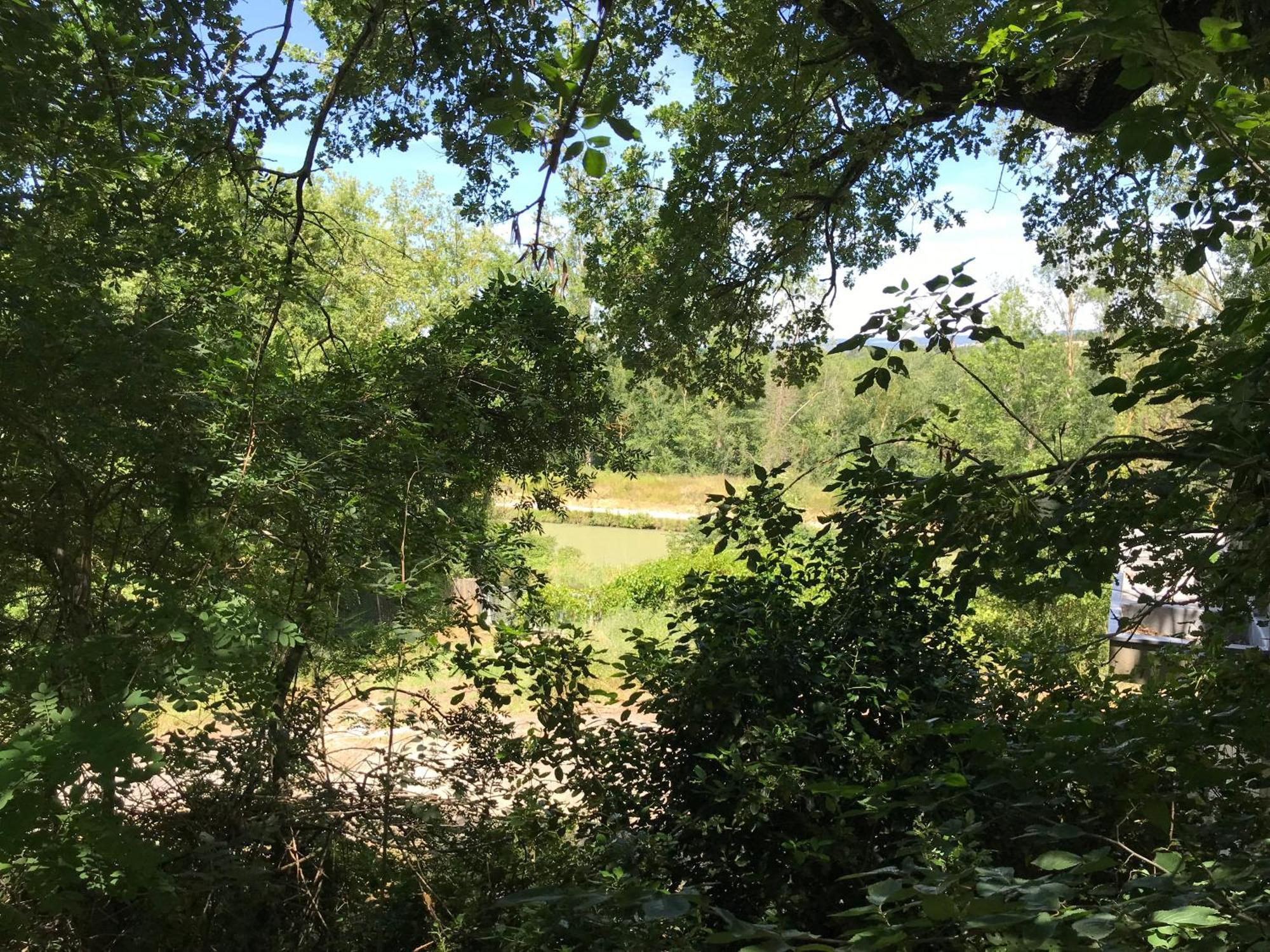 Bus Atypique Au Bord Du Canal Du Midi Et Au Coeur D'Une Foret 2 Chambres Villepinte  외부 사진